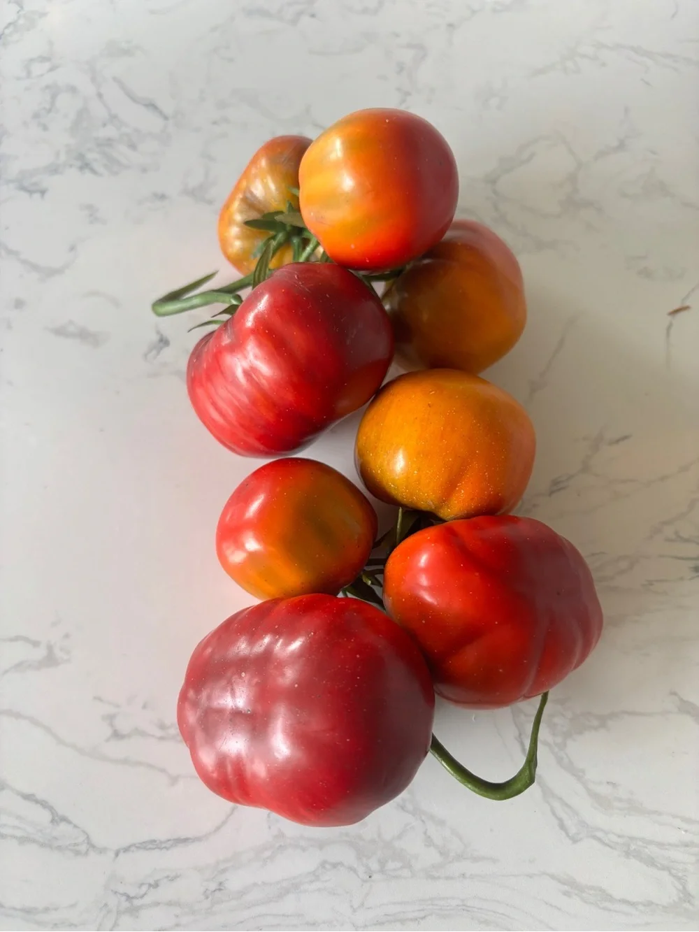 Set of two artificial vines of tomatoes